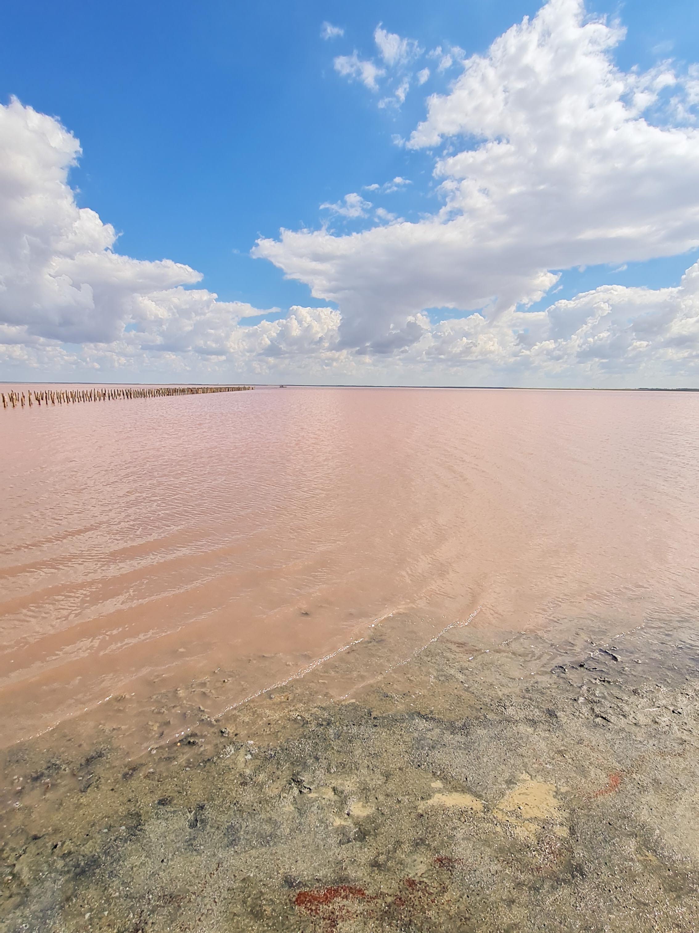 Розовое озеро. Тур по Тарханкуту 2 дня | JeepTrip